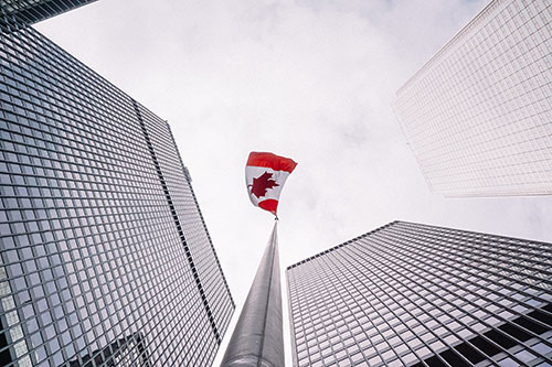 government workplace investigations